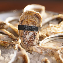 Load image into Gallery viewer, Dibba Bay Oysters with Ultimate Oyster Shucking Kit