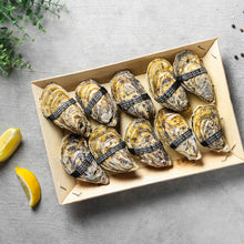 Load image into Gallery viewer, UAE National Day BUNDLE PROMOTION !! 4 Boxes: Size No.0 or No.1 or No.2 or No. 3 - 379 AED ONLY! + Free Knife & Condiments