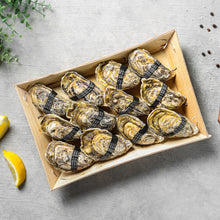 Load image into Gallery viewer, UAE National Day BUNDLE PROMOTION !! 4 Boxes: Size No.0 or No.1 or No.2 or No. 3 - 379 AED ONLY! + Free Knife & Condiments