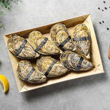 Load image into Gallery viewer, Exclusive: The Grand "Dibba Bay" Tasting Set (5 Boxes: From No.4 to No.0). 53 juicy oysters at 595 AED only!