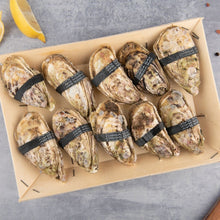 Load image into Gallery viewer, 10 Oysters Size No.2