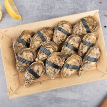 Load image into Gallery viewer, 12 Oysters Size No.3