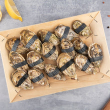 Load image into Gallery viewer, Exclusive: The Grand &quot;Dibba Bay&quot; Tasting Set  (5 Boxes: From No.4 to No.0). 53 juicy oysters at 595 AED only!

