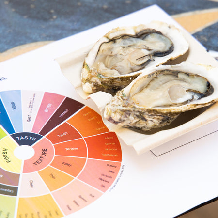Masterclass - Oyster and Wine Pairing