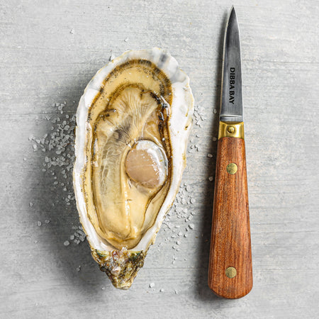 Oyster Shucking Knife