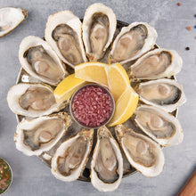 Load image into Gallery viewer, 8 Oysters Size No.1
