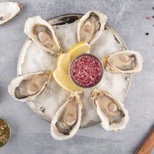 Load image into Gallery viewer, 6 Oysters Size No.0
