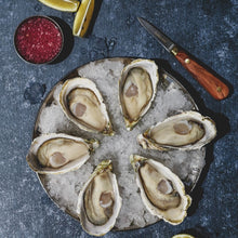 Load image into Gallery viewer, Oyster Shucking Knife
