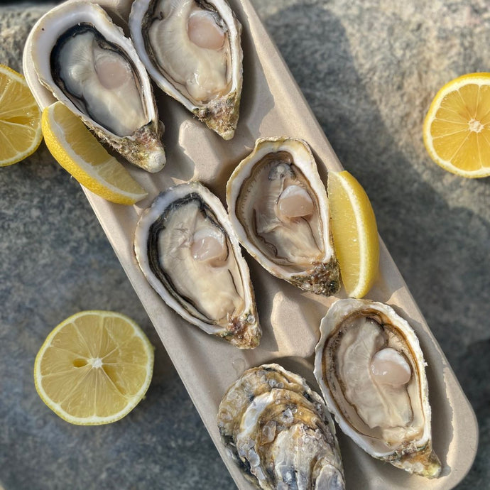 Shucked Oysters Size No.2 - Pick up only