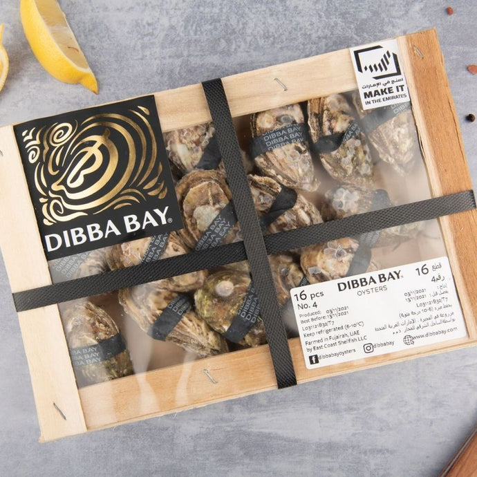 16 Oysters Size No.4